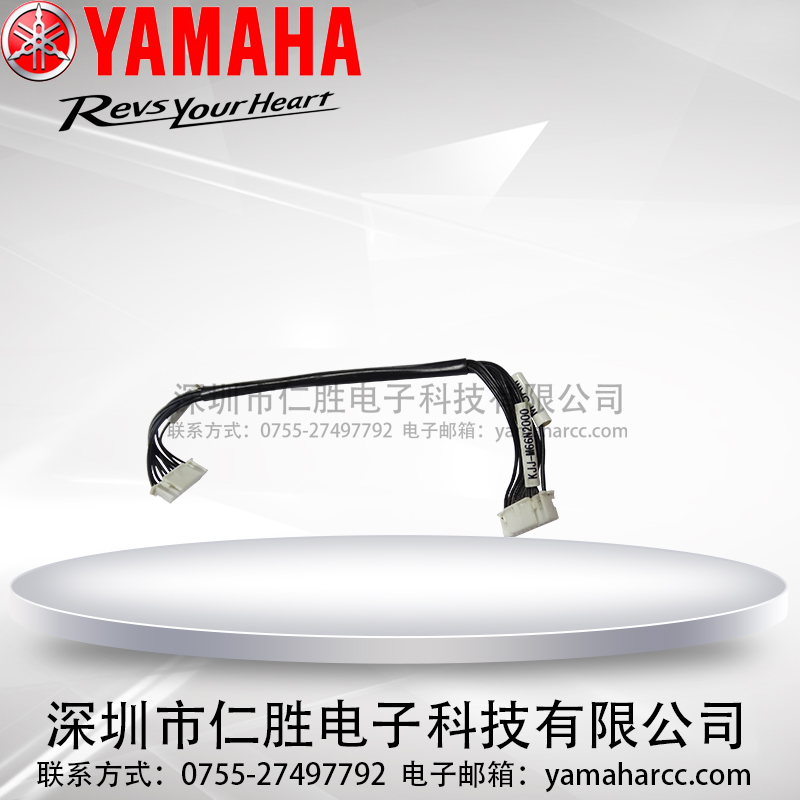 YAMAHA YSM20C(j)BӾKJJ-M66N2000ԭbƷ